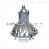 eLD55-L250W增安型防爆防腐燈（北方不銹鋼316防爆防腐燈）