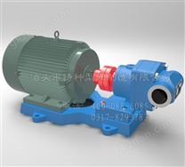 RCB系列齒輪式高溫?zé)嵊捅?180℃以下)