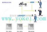 TDAM8000系列TDAM8000系列智能大屏幕温湿度记录仪
